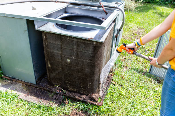 Air Duct Mold Removal in CA